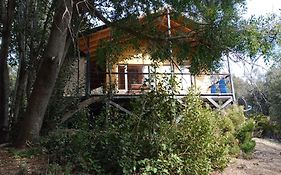 Cabañas Costa Maitena